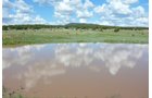 Property photo 18 - 7,320 Acres Offered in 5 Tracts